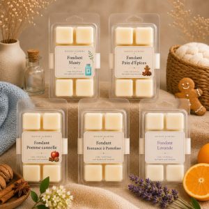 Maison Alimora, Fondant clemshell, Tous les parfums, 6 carrés de fondants